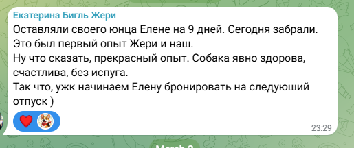 Отзыв о передержке собаки у Елены