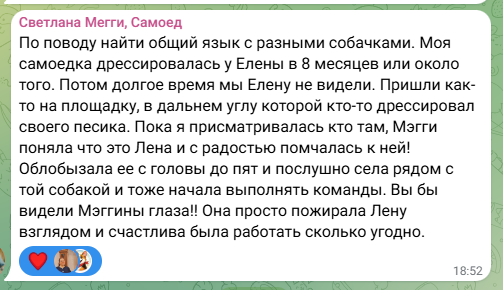 Отзыв о дрессировке собаки у Елены