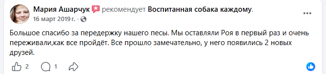 Отзыв о передержке собаки