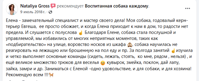 Отзыв о дрессировке керн-терьера